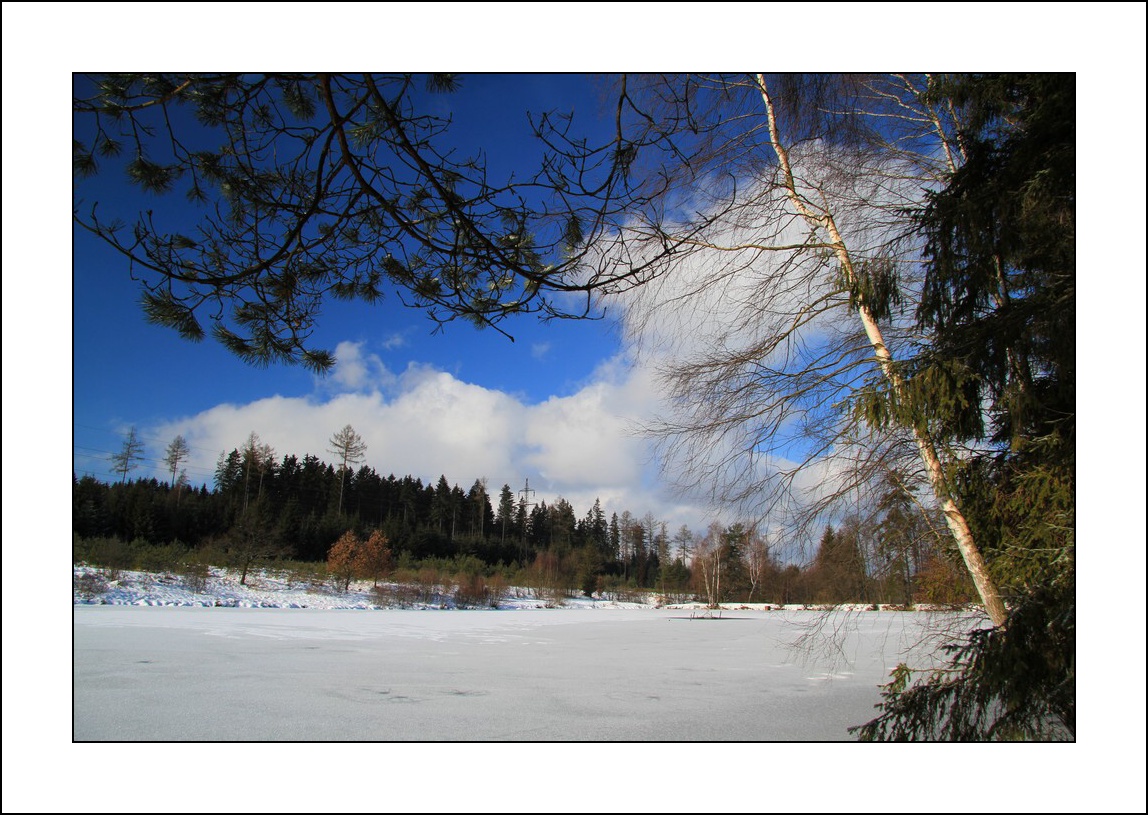 IMG_7576