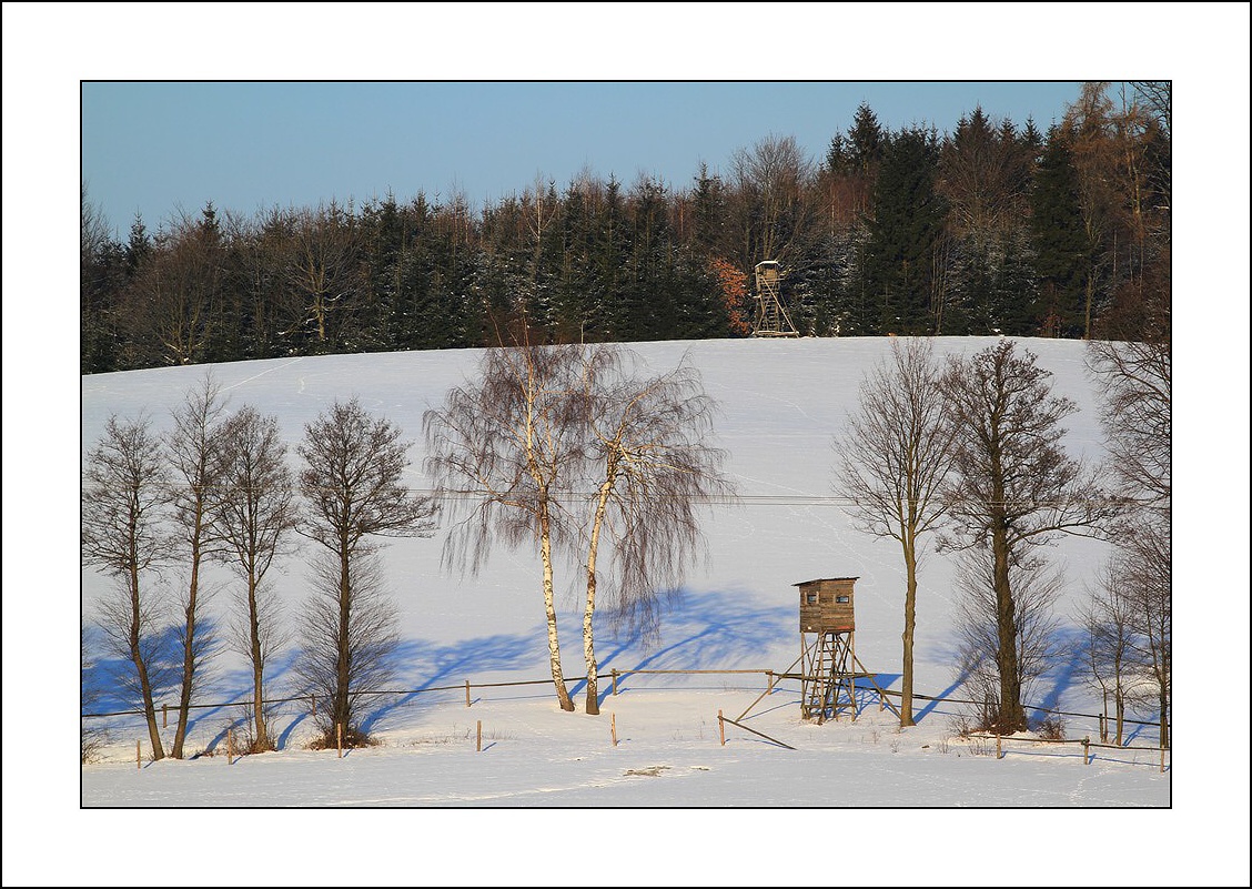 IMG_7588