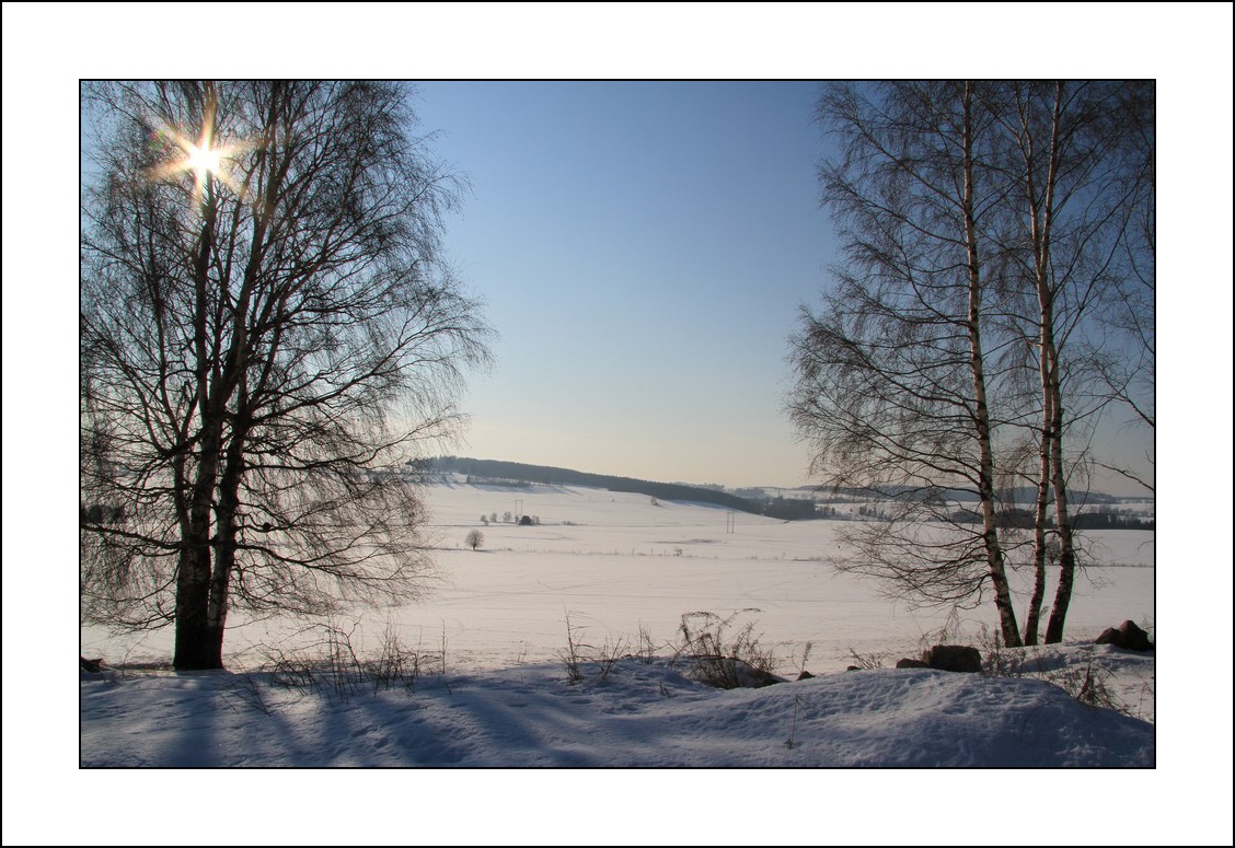 IMG_7772