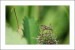 Kopie - Kopie - IMG_2458